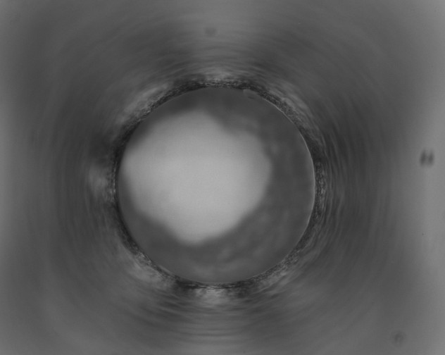 X0000091560419200708241820