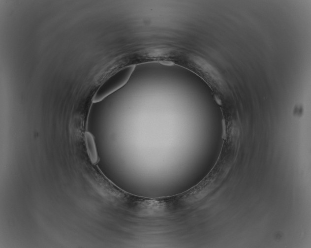 X0000091560421200708241820