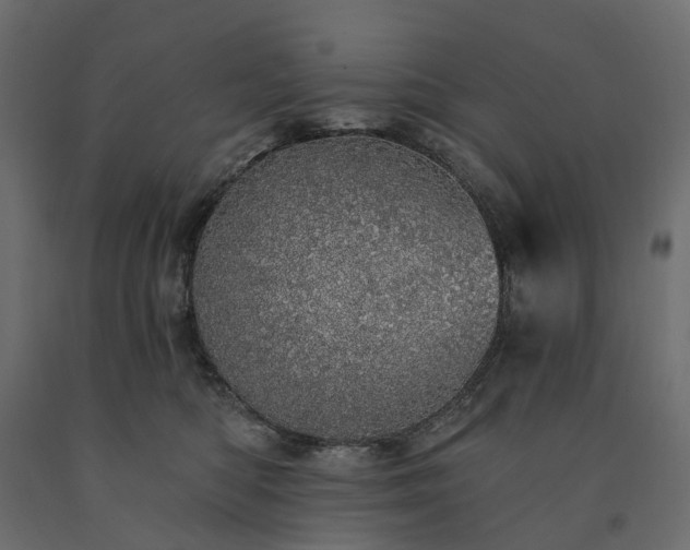 X0000091560422200708241820