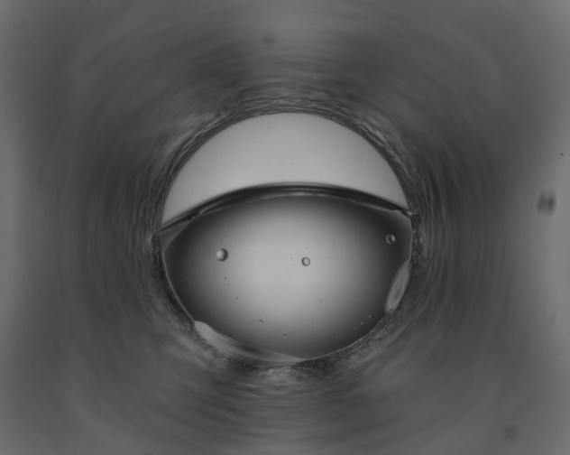 X0000091560423200708241820