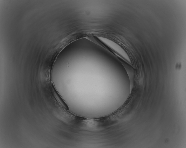 X0000091560425200708241820