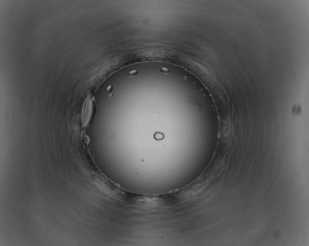 X0000091560428200708241820