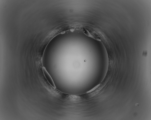 X0000091560429200708241820