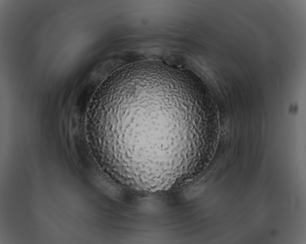 X0000091560430200708241820