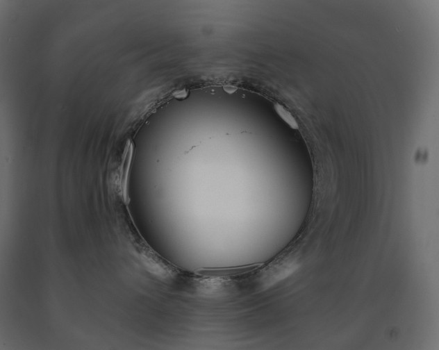 X0000091560432200708241819