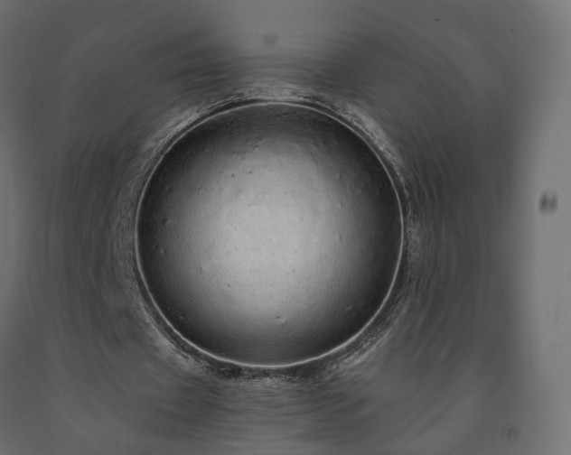 X0000091560433200708241819