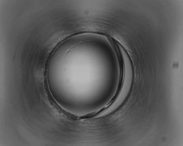 X0000091560434200708241819