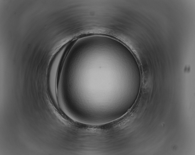 X0000091560437200708241819