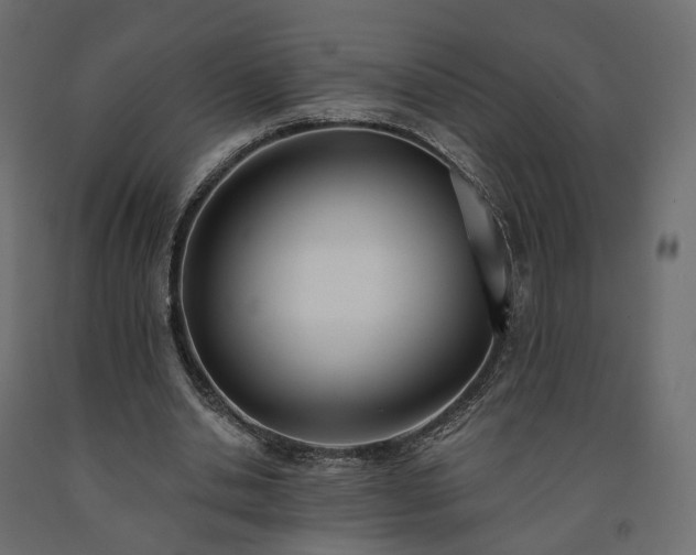 X0000091560438200708241819