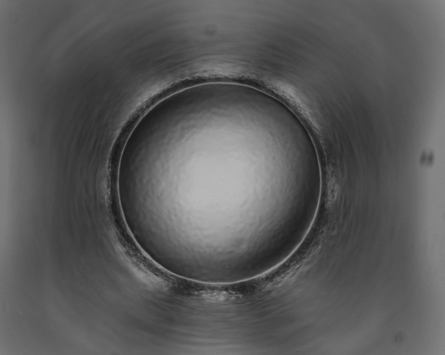 X0000091560439200708241819