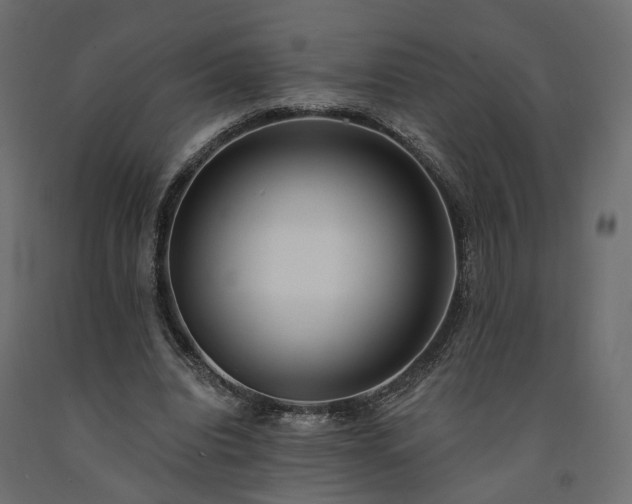 X0000091560440200708241819