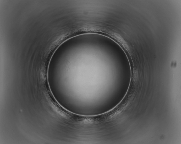 X0000091560441200708241819