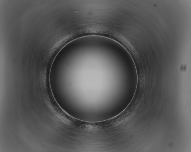 X0000091560442200708241819