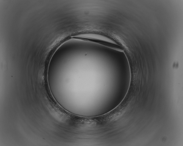 X0000091560443200708241819