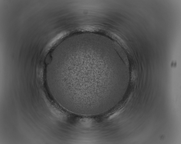 X0000091560444200708241819