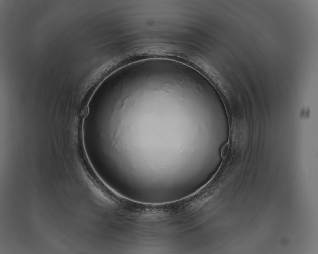 X0000091560445200708241819