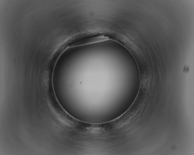 X0000091560448200708241819