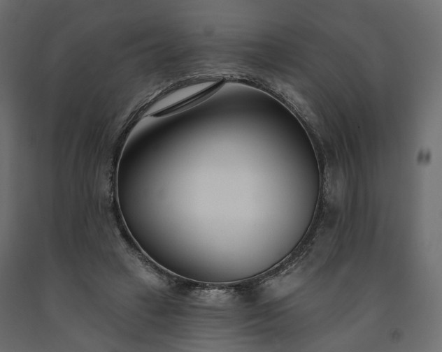 X0000091560449200708241819