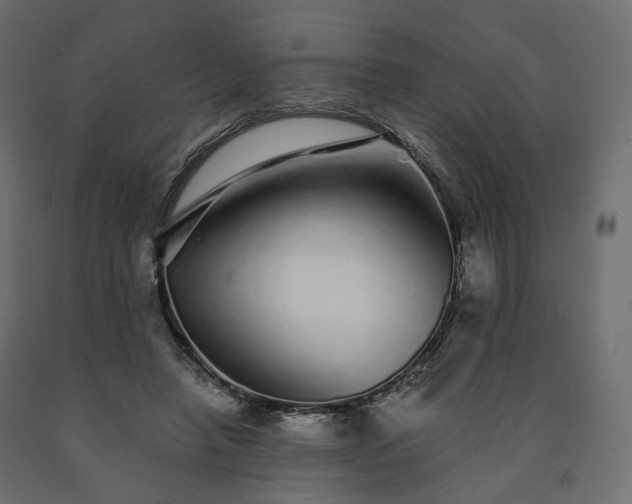 X0000091560450200708241819