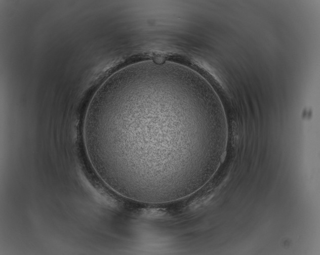 X0000091560451200708241819