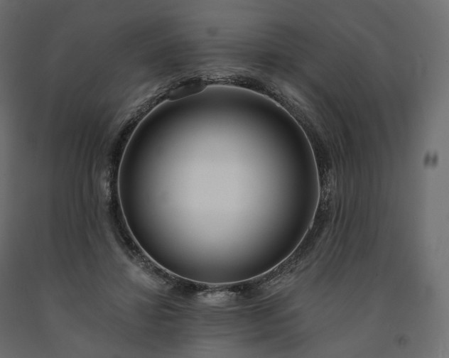 X0000091560452200708241819