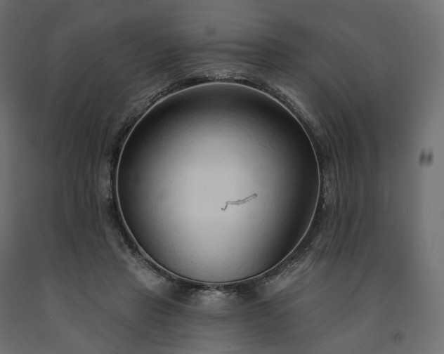 X0000091560453200708241819