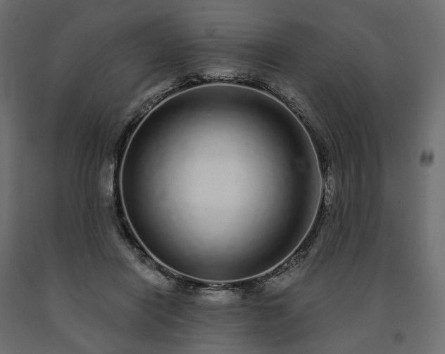 X0000091560454200708241819