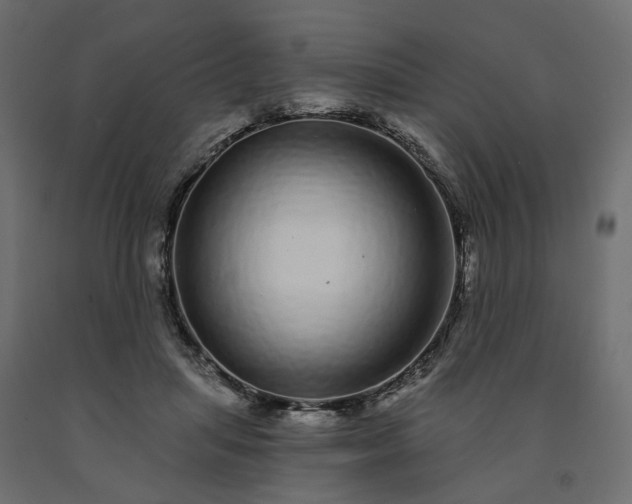 X0000091560455200708241819