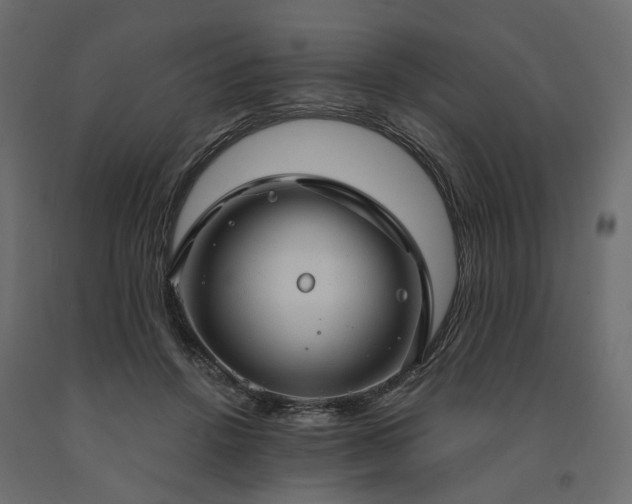 X0000091560456200708241819