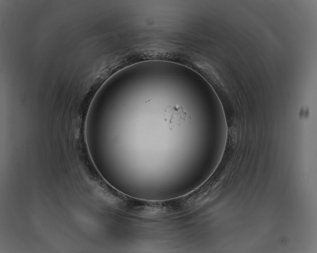 X0000091560458200708241819