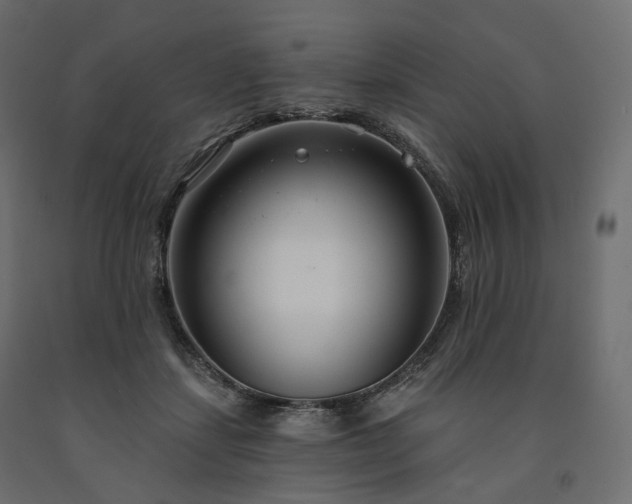 X0000091560459200708241819