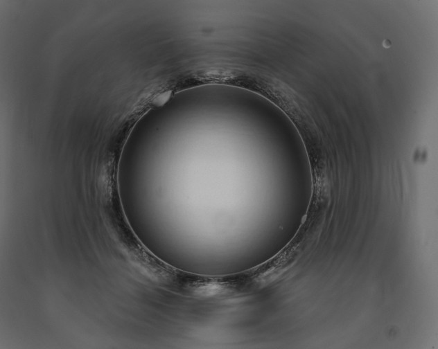 X0000091560460200708241819