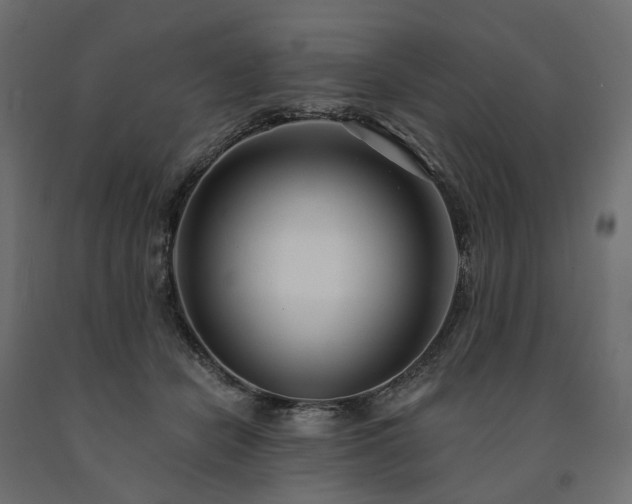 X0000091560462200708241819