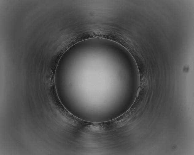 X0000091560464200708241819