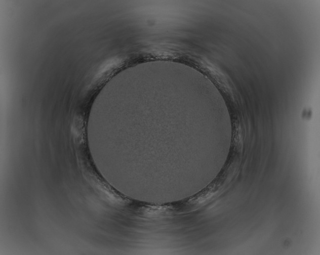 X0000091560465200708241819