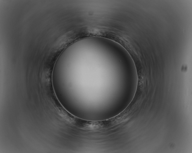 X0000091560466200708241819