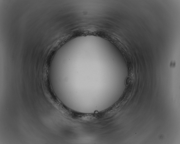 X0000091560468200708241819