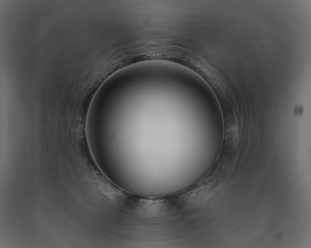 X0000091560469200708241819