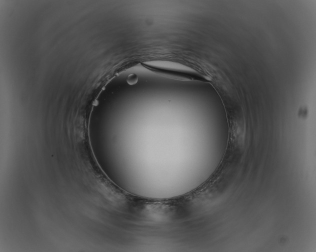 X0000091560470200708241819