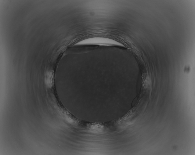 X0000091560471200708241819