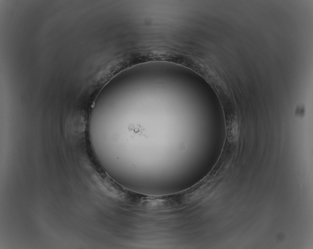 X0000091560472200708241819