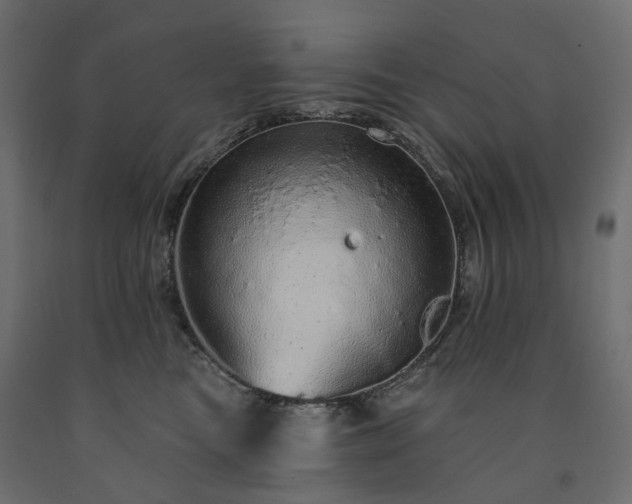 X0000091560473200708241819