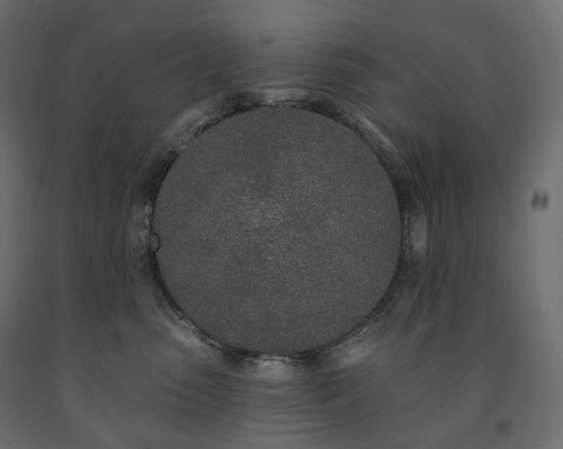 X0000091560475200708241819