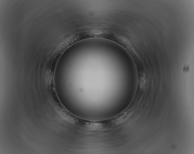 X0000091560476200708241819