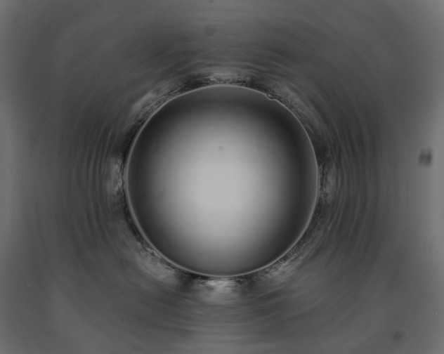 X0000091560478200708241819