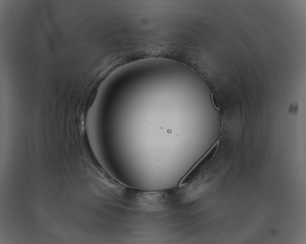 X0000091560479200708241819