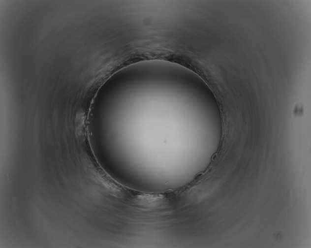 X0000091560480200708241819