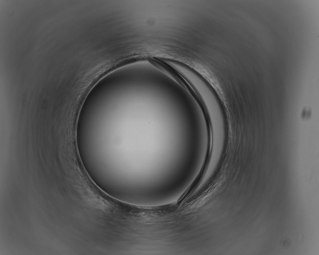 X0000091560481200708241819