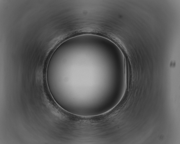 X0000091560482200708241819