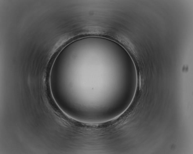 X0000091560483200708241819